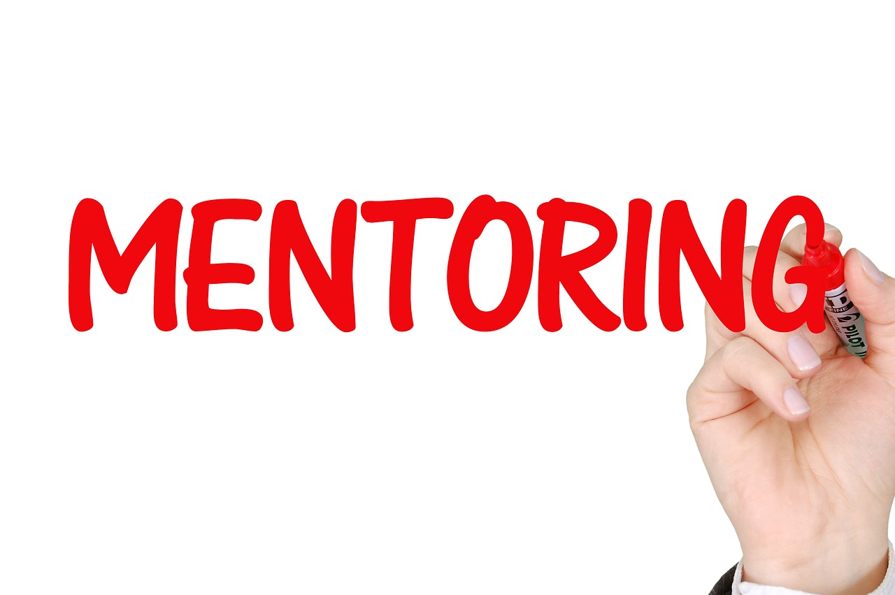 Written word "Mentoring".