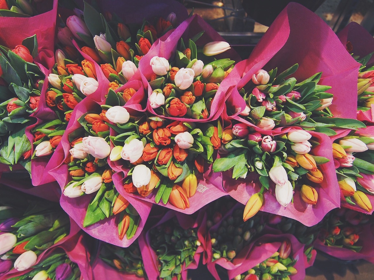Bunches of brightly colored tulips.